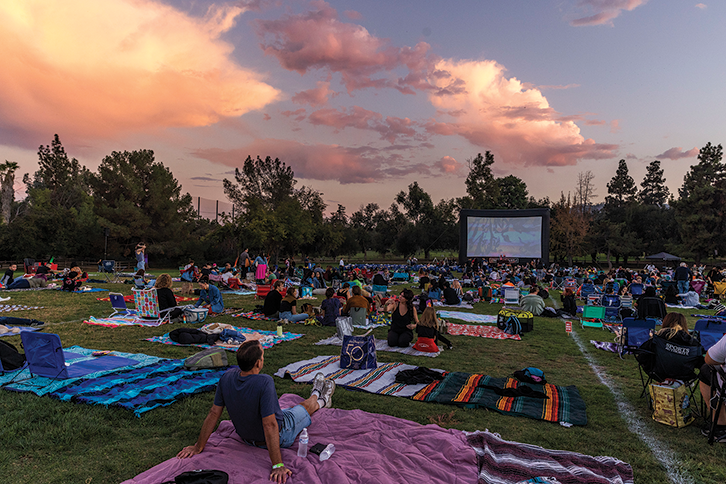 People standing on the grass watching movies