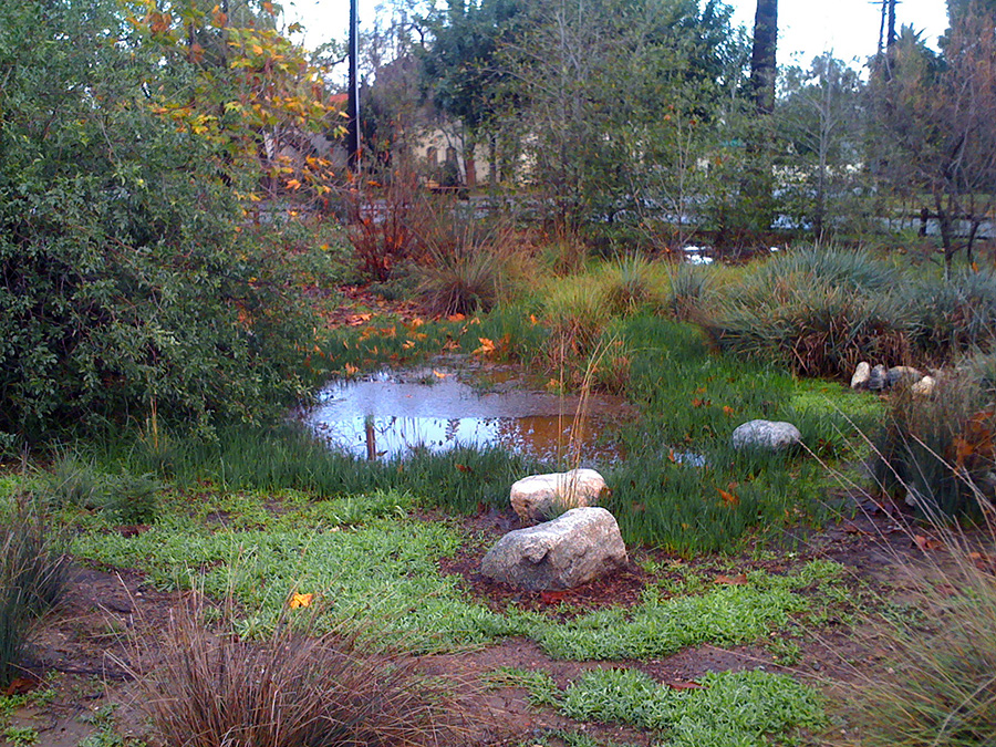 Arlington Garden in Pasadena